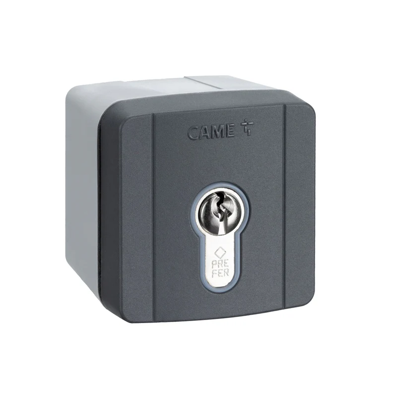 CAME key switch