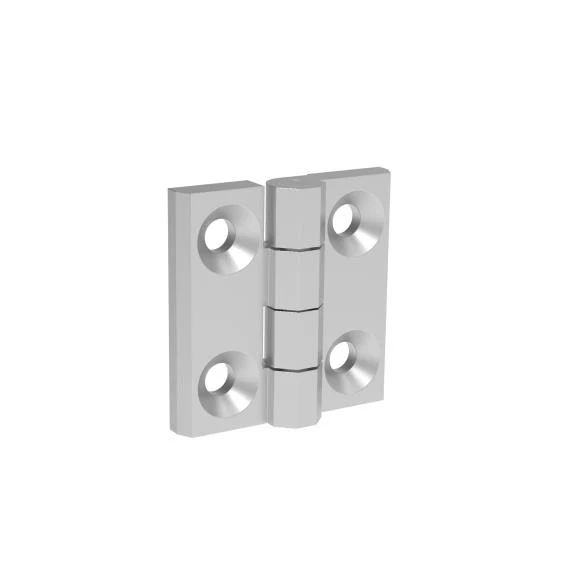 Hinge for gates INOX, AISI 316, L=60mm - Image 2