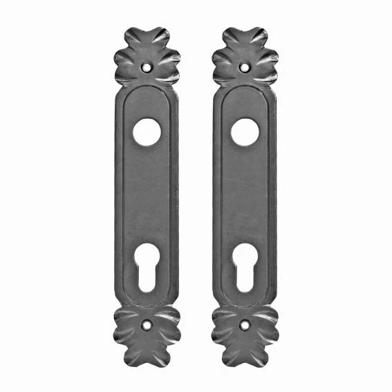 Lock plate 245x47, t2, C90, D20mm