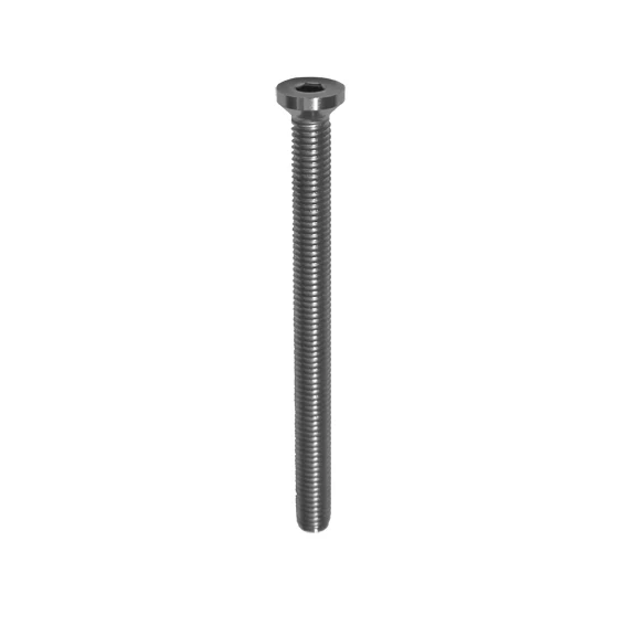 Stainless steel screw M5x16 AISI316, M8x100mm